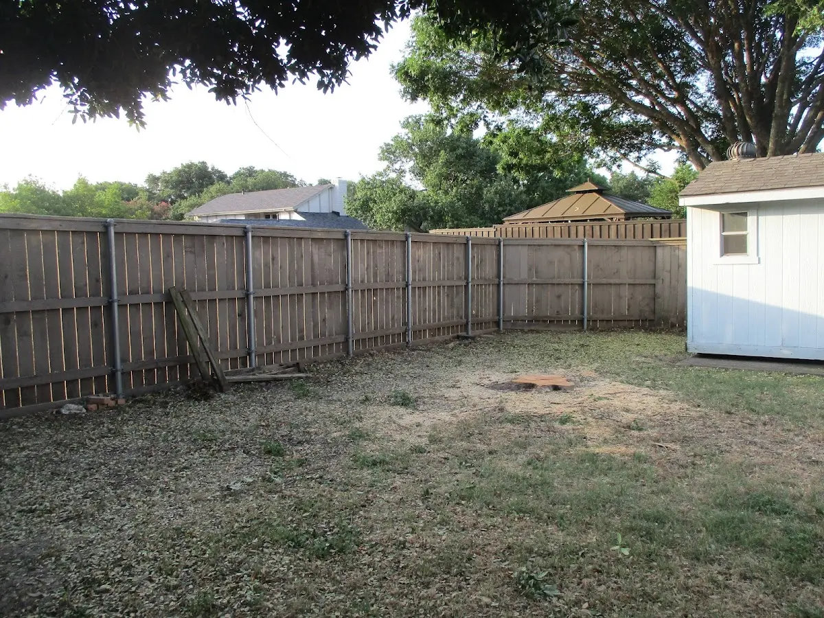 Cleared yard after professional tree removal in Nelson